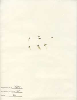primary herbarium image